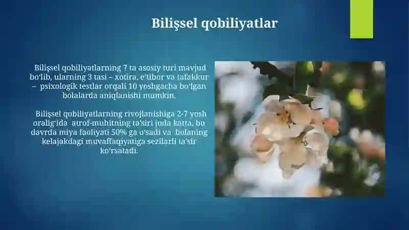 Qobiliyatlarning pedagogik psixologik tasnifi 3