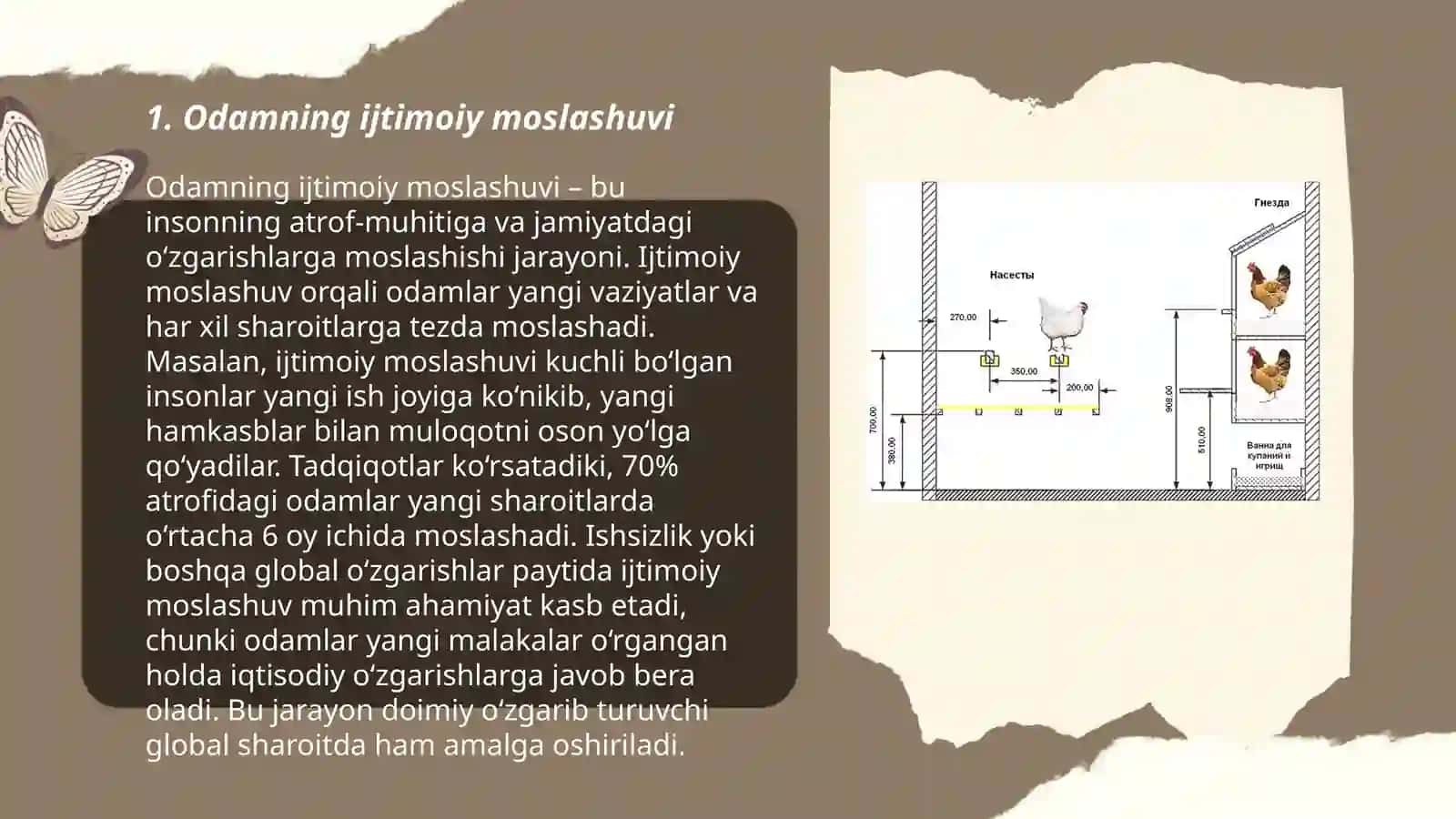 Odamning adaptiv tiplari 3