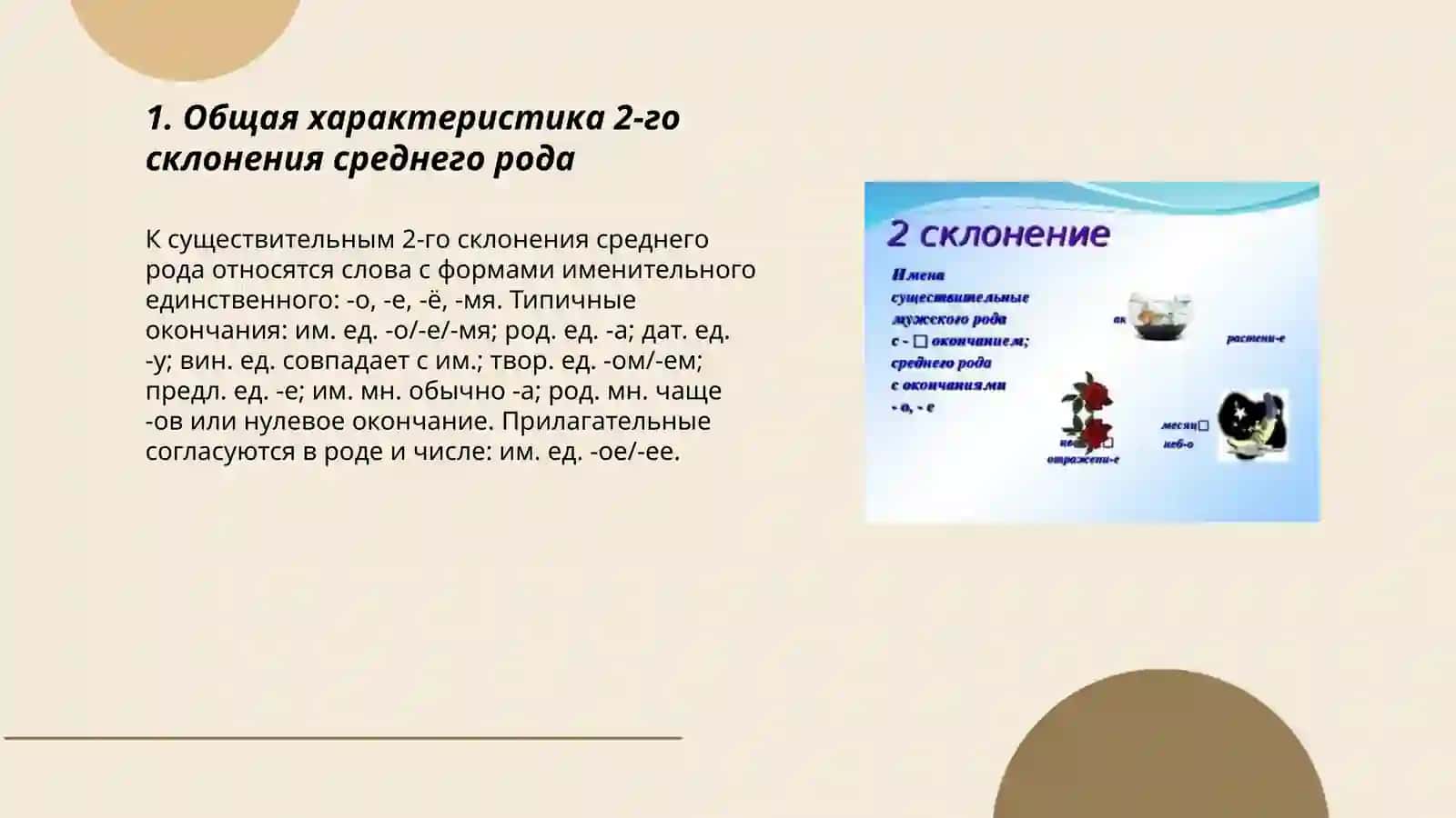 Эсонтурдиева мафтуна 3