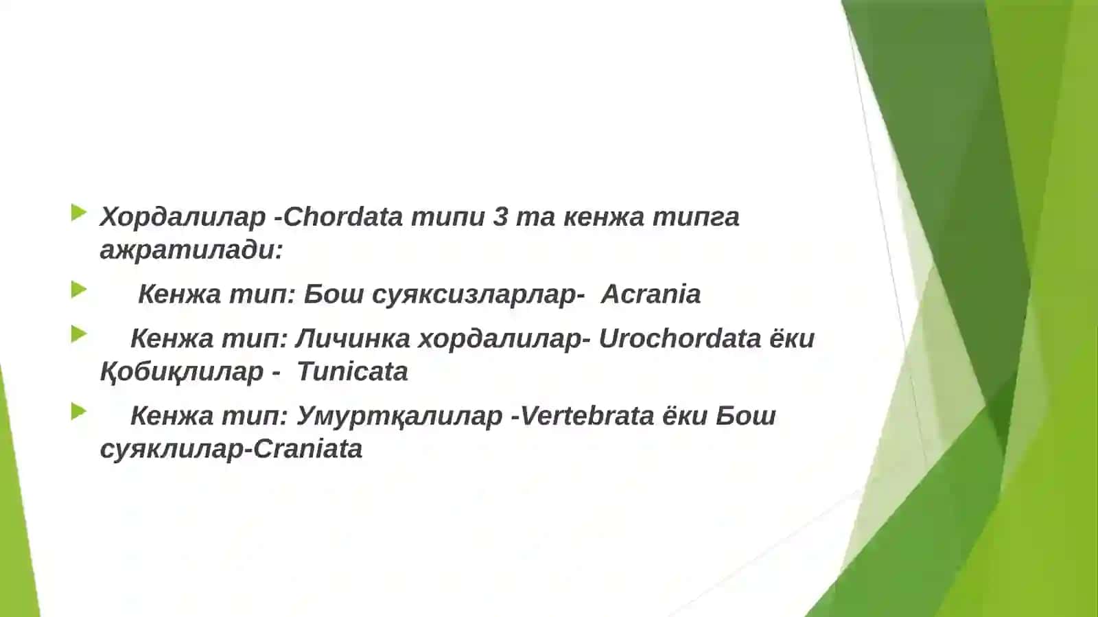 Бош скелетсизлар-Acrania кенжа типи 3