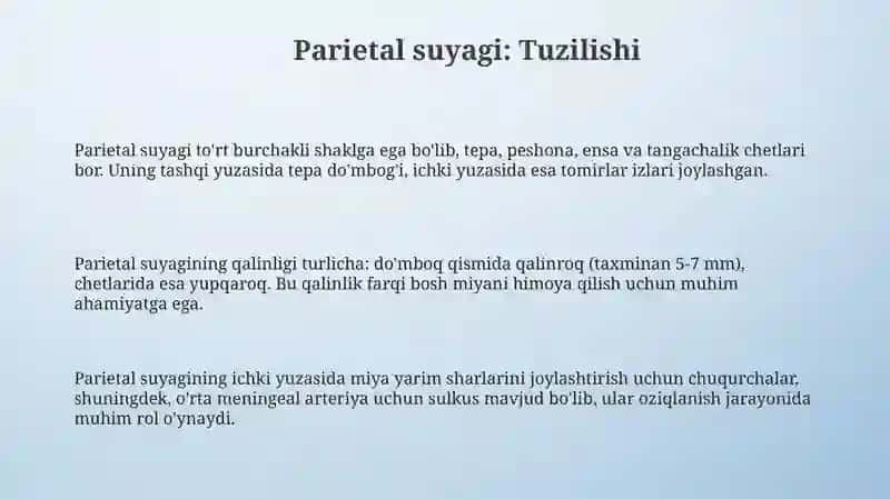 Ponasimon va Chakkasuyaklari 3