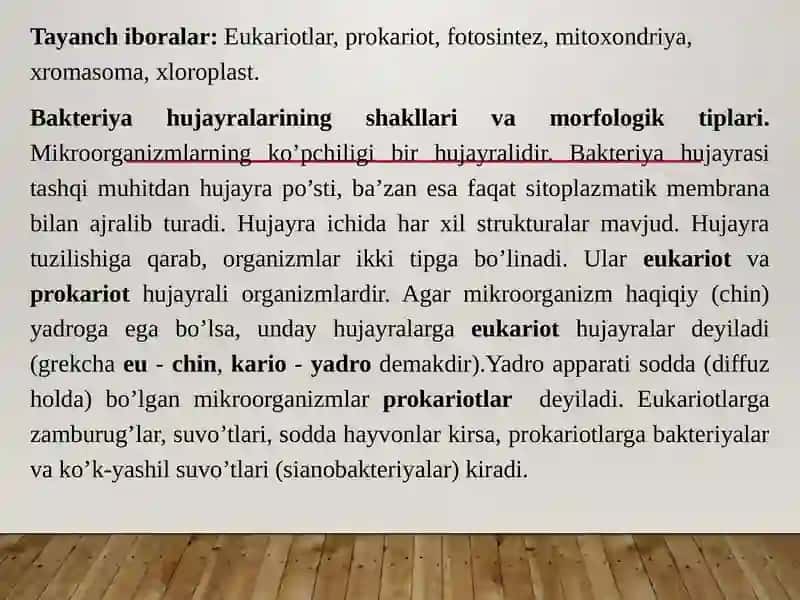 Bakteriya hujayrasining tuzilishi 3