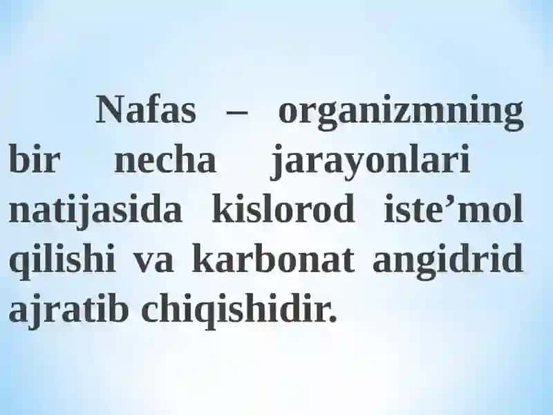 Nafasolish tizimining fiziologiyasi 3