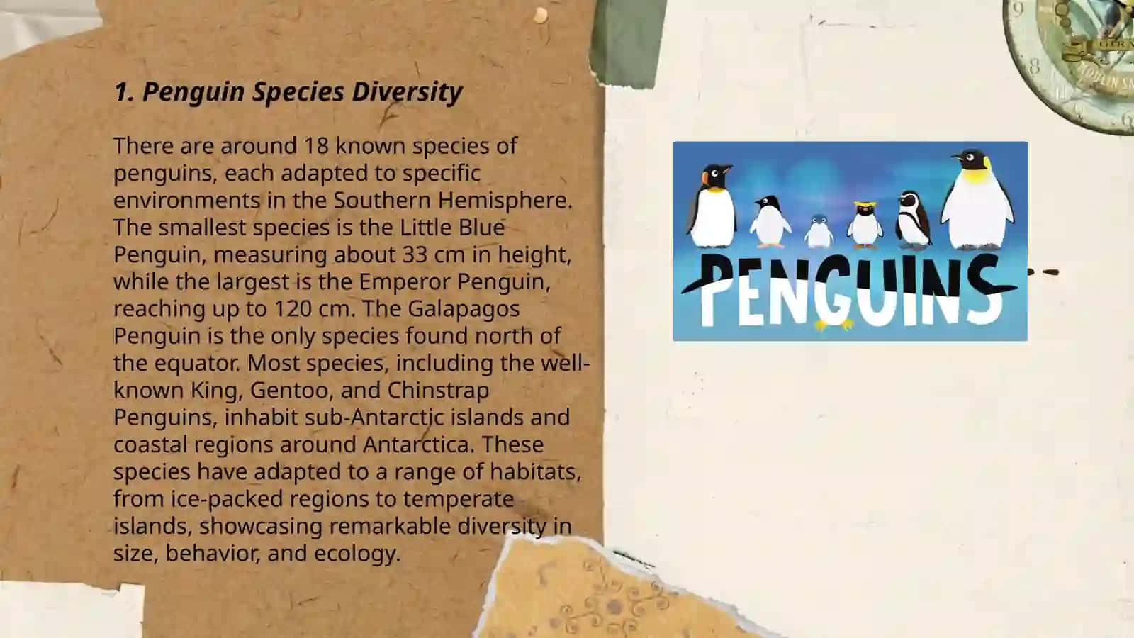 About Penguins 3