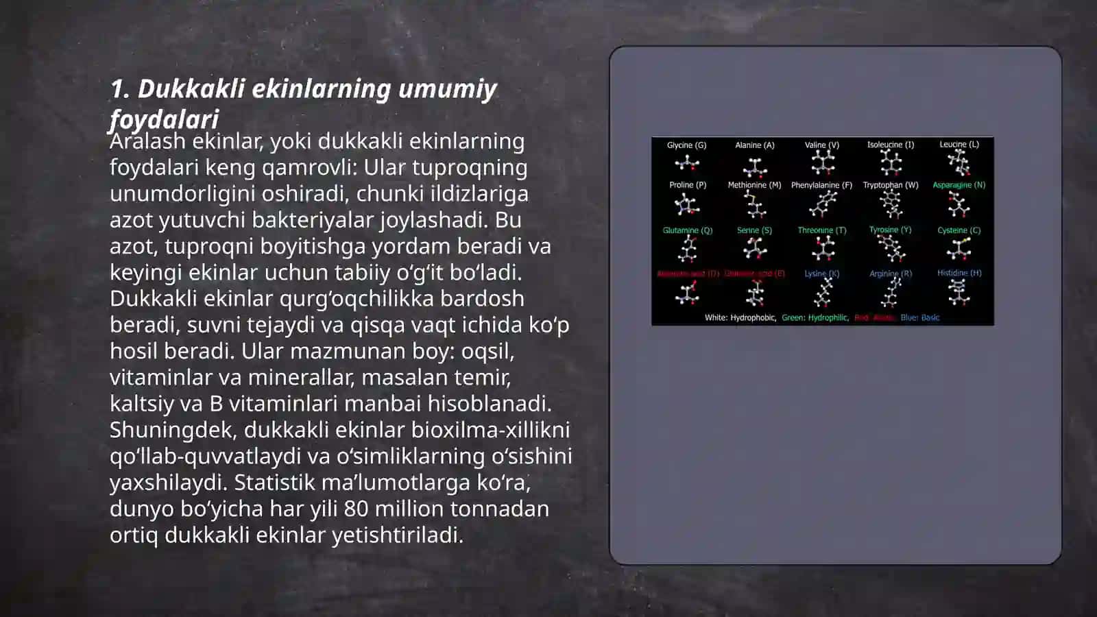 Dukkakli ekinlarning inson salomatligidagi ahamiyati 3