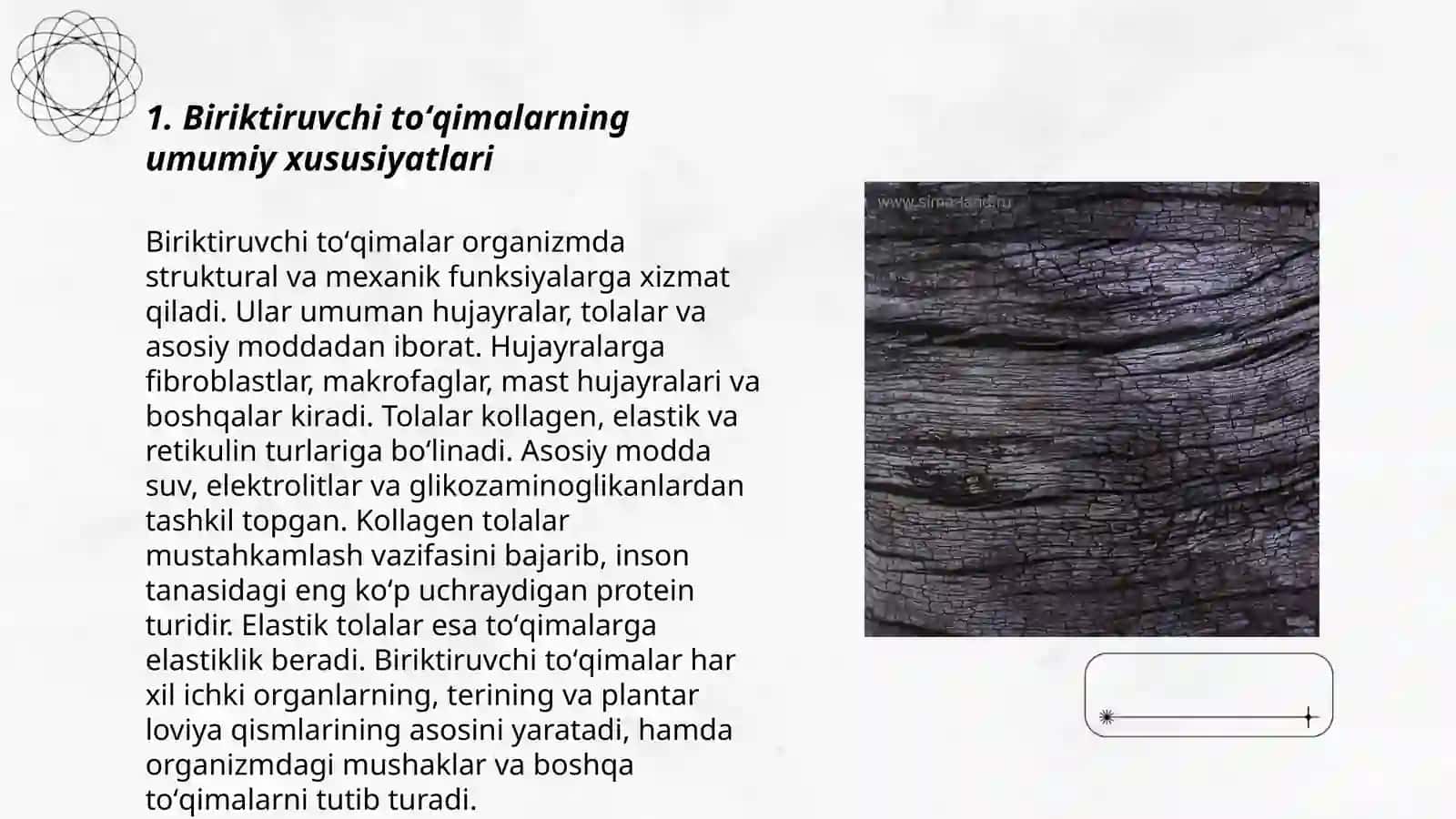 BIRIKTIRUVCHI TOʻQIMALAR. TOGʻAY VA SUYAK TOʻQIMASI 3