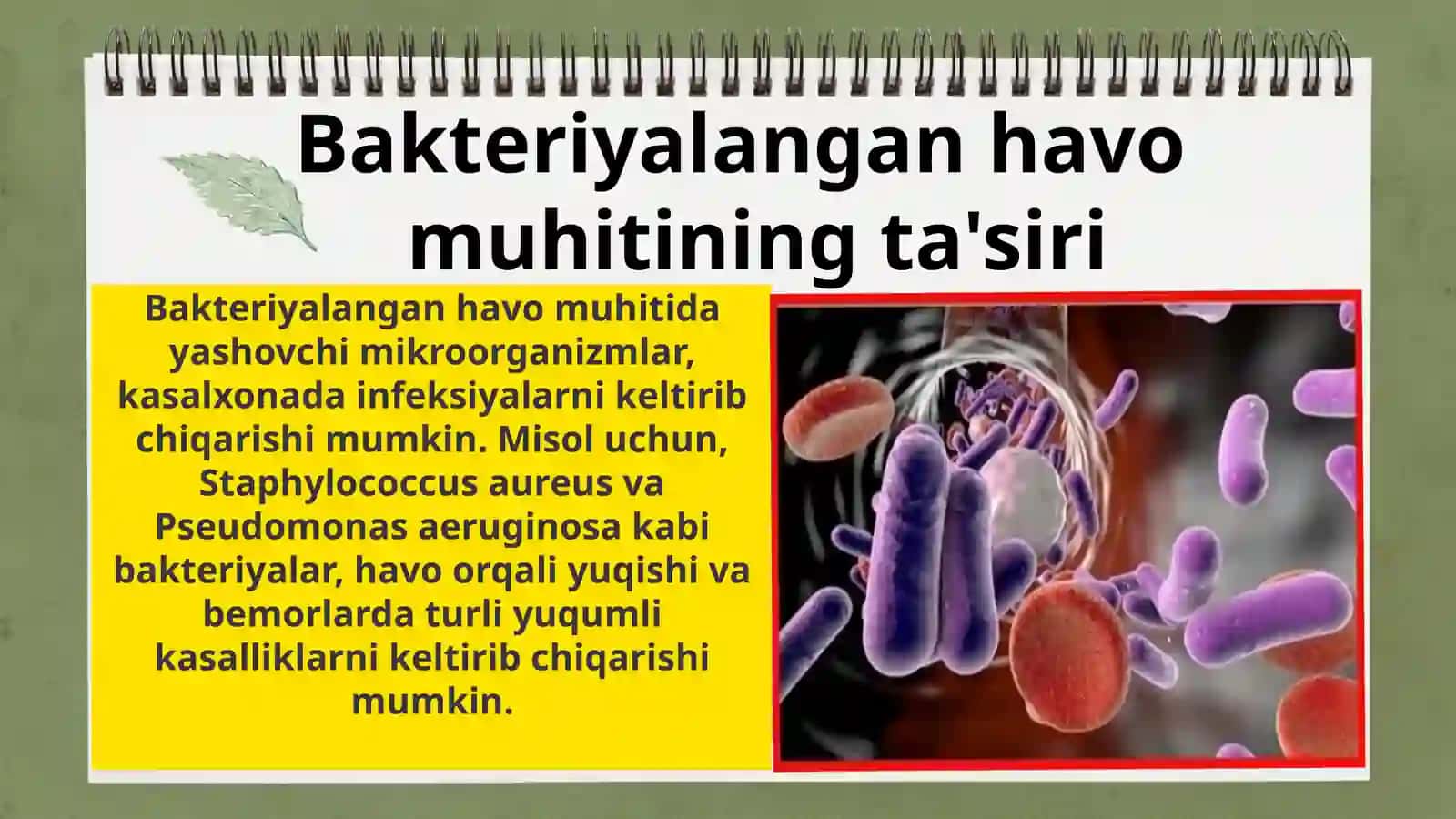 Kasalxona ichki infeksiyalarini kelib chiqishi uchun havo muhitining bakteriologik ifloslanganligining ahamiyati 3