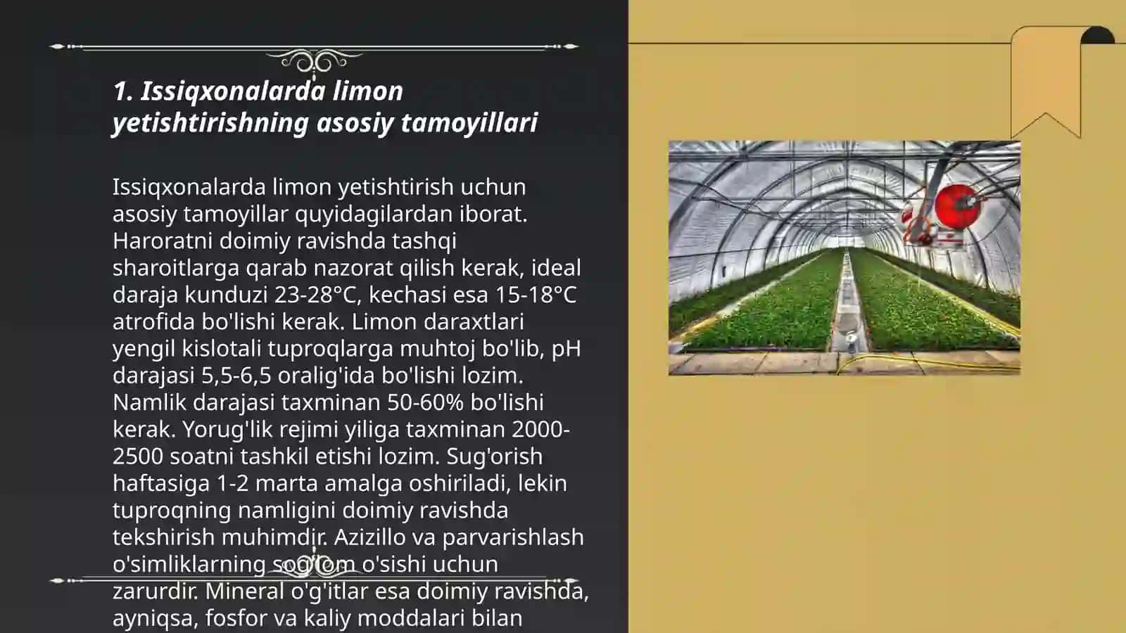 Issiqxonalarda limon oʻsimligini yetishtirish texnologiyasi 3
