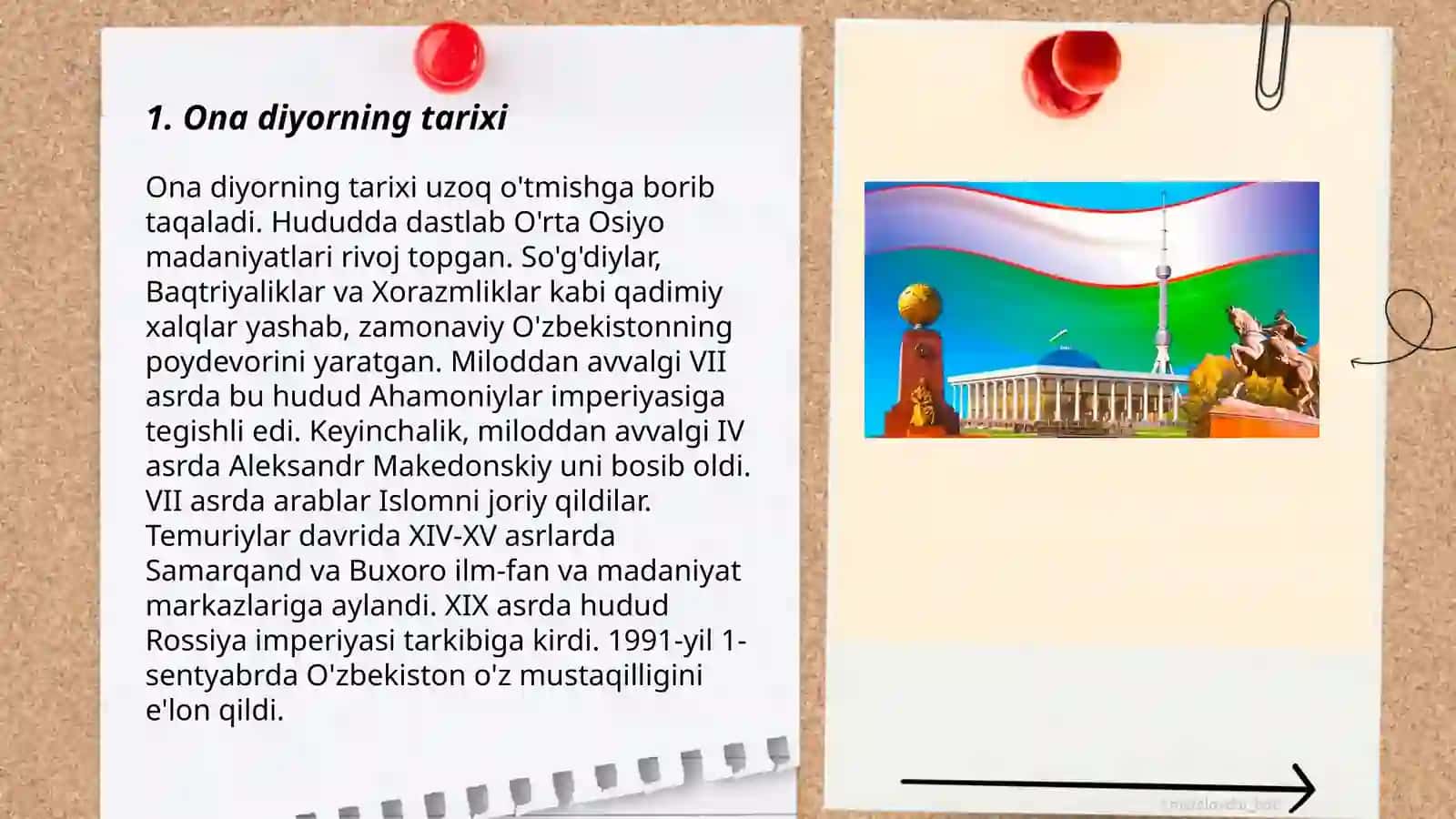 Ona vatan 3