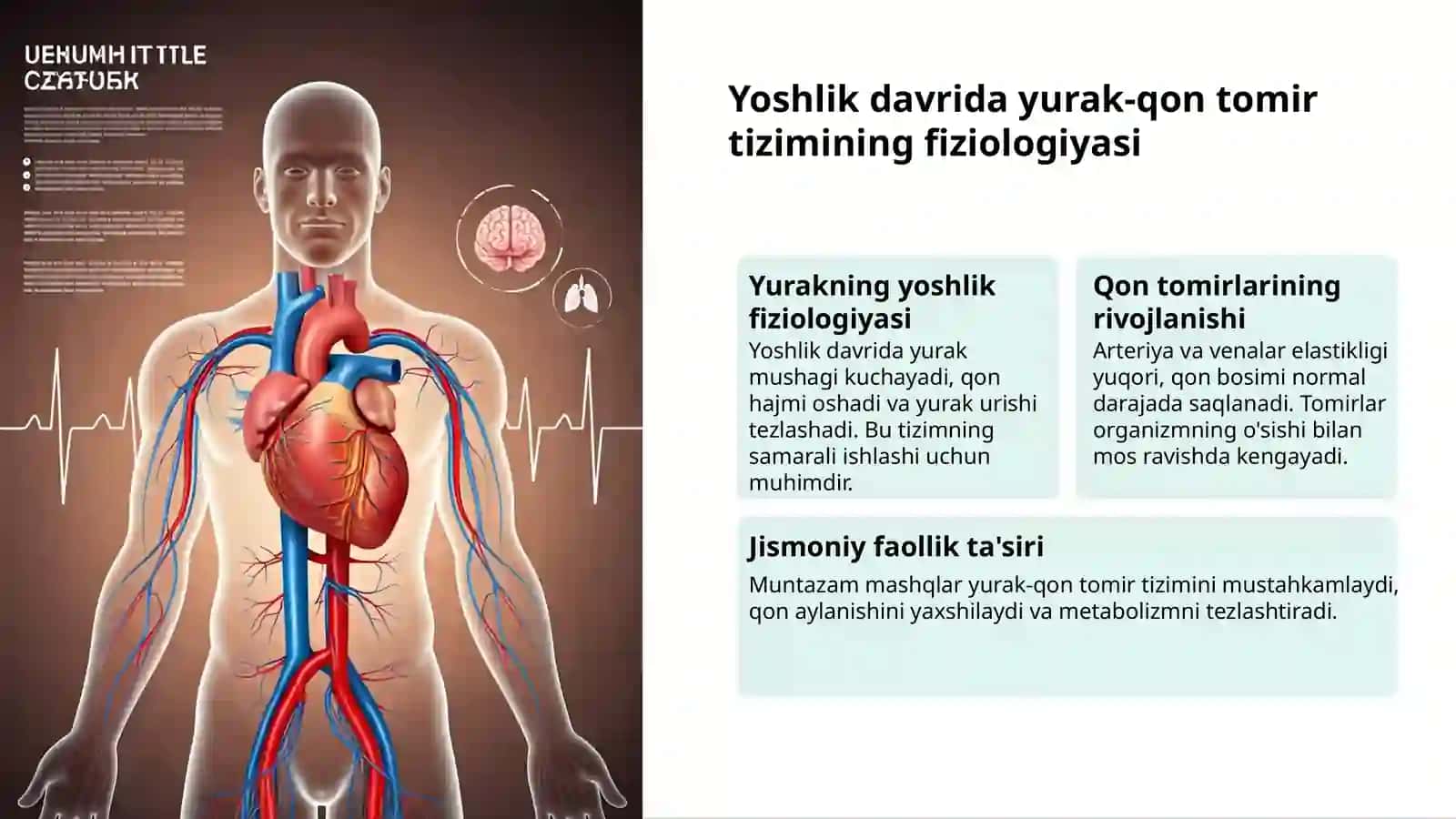 Yoshlik davrlari: morfologiya va fiziologiya 3