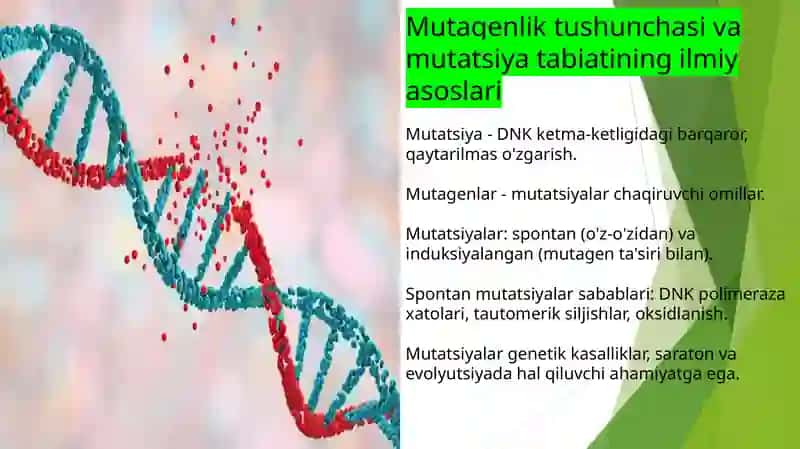 Organizmning mutagen ta'siriga chidamliligi. Tomas Morganning xromasoma nazariyasi. Jins genetikasi 3