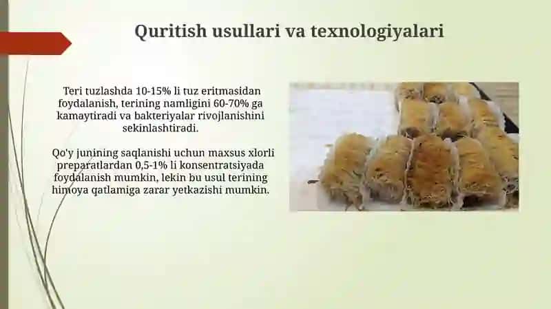 Quritish, tuzlash va mo'ynada saqlash jarayonlari 3