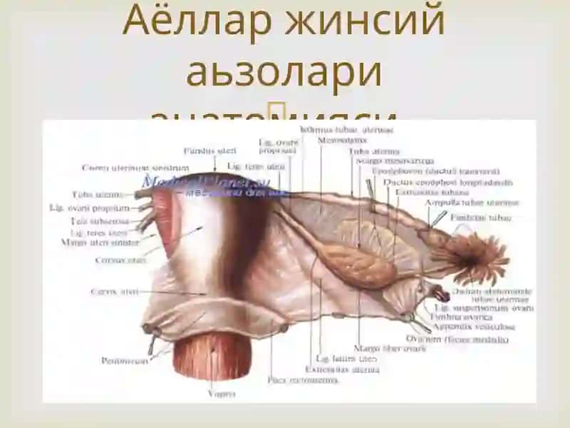 Детский кок марказ 3