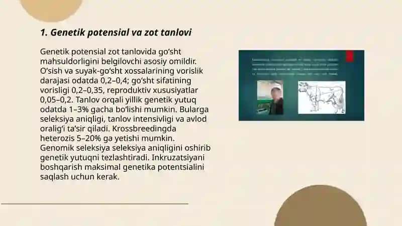 Qoramollarning goʻsht mahsuldorligiga taʼsir qiluvchi omillar 3