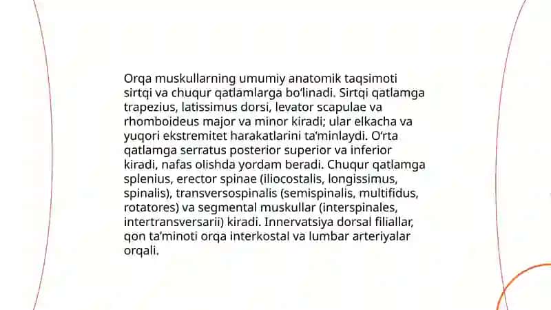 Orqa muskullar. Qorin va ko‘krak muskullari 3