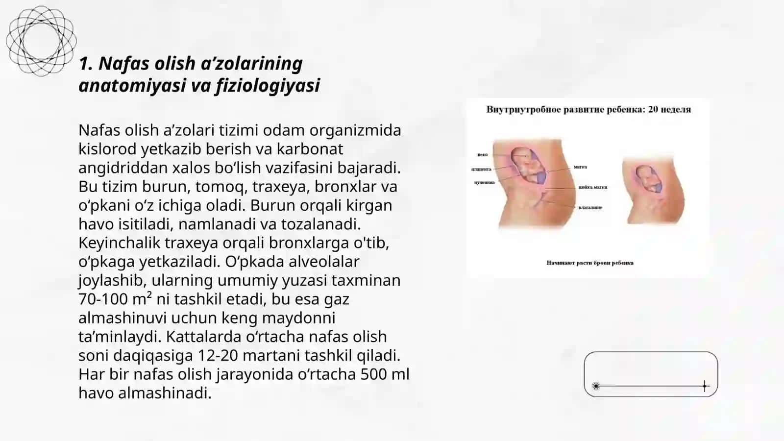Nafas olish aʽzolari kasalliklarida hamshiralik ishi 3