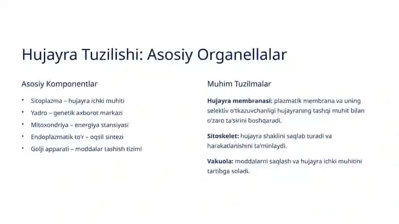 Hujayra va Hujayradan Tashqari Matriks O'rtasidagi Munosabatlar 3