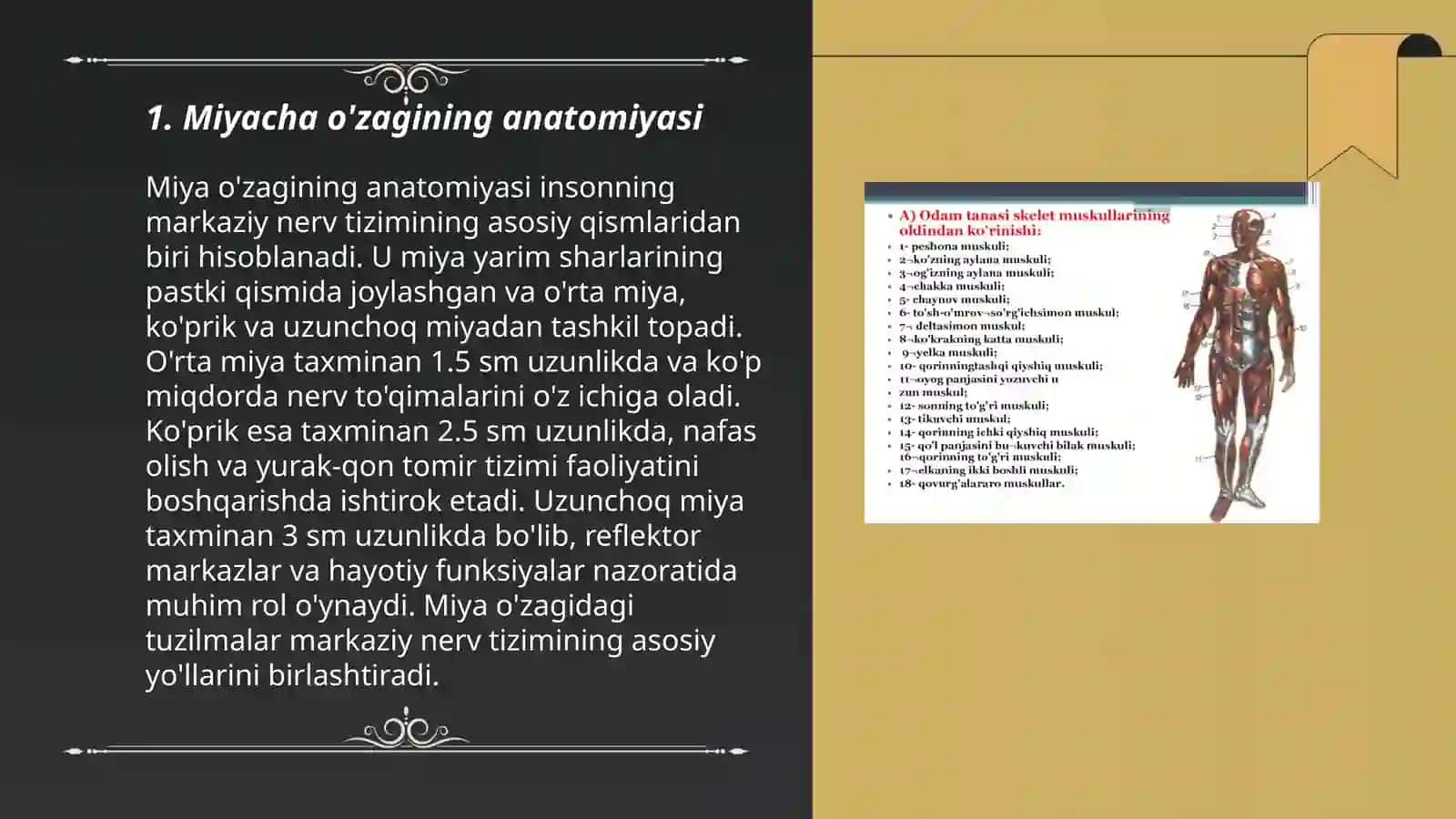 Miyacha O'zaklari va ularning klinik ahmiyati 3