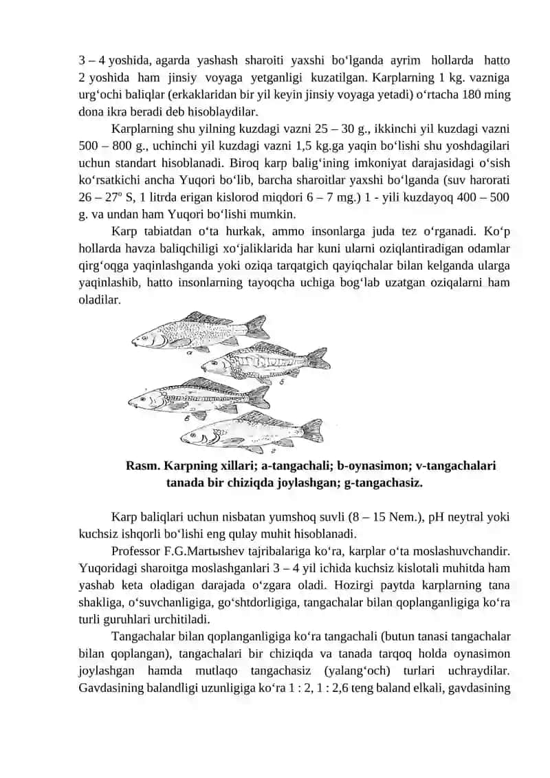 O‘ZBEKISTONDA YETISHTIRILAYOTGAN ASOSIY BALIQ ZOTLARI 3
