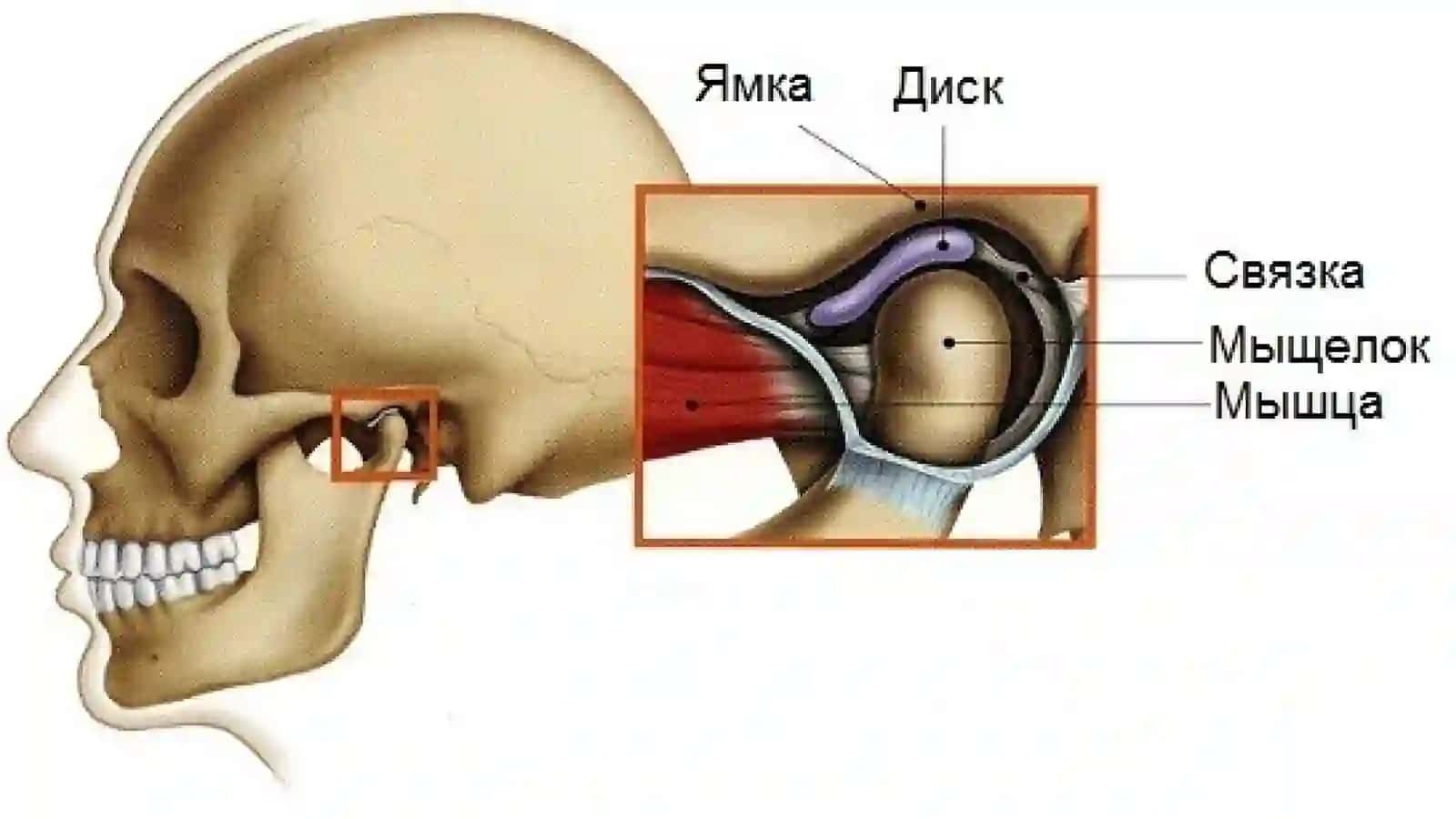 CHPJB tuzilishi 3