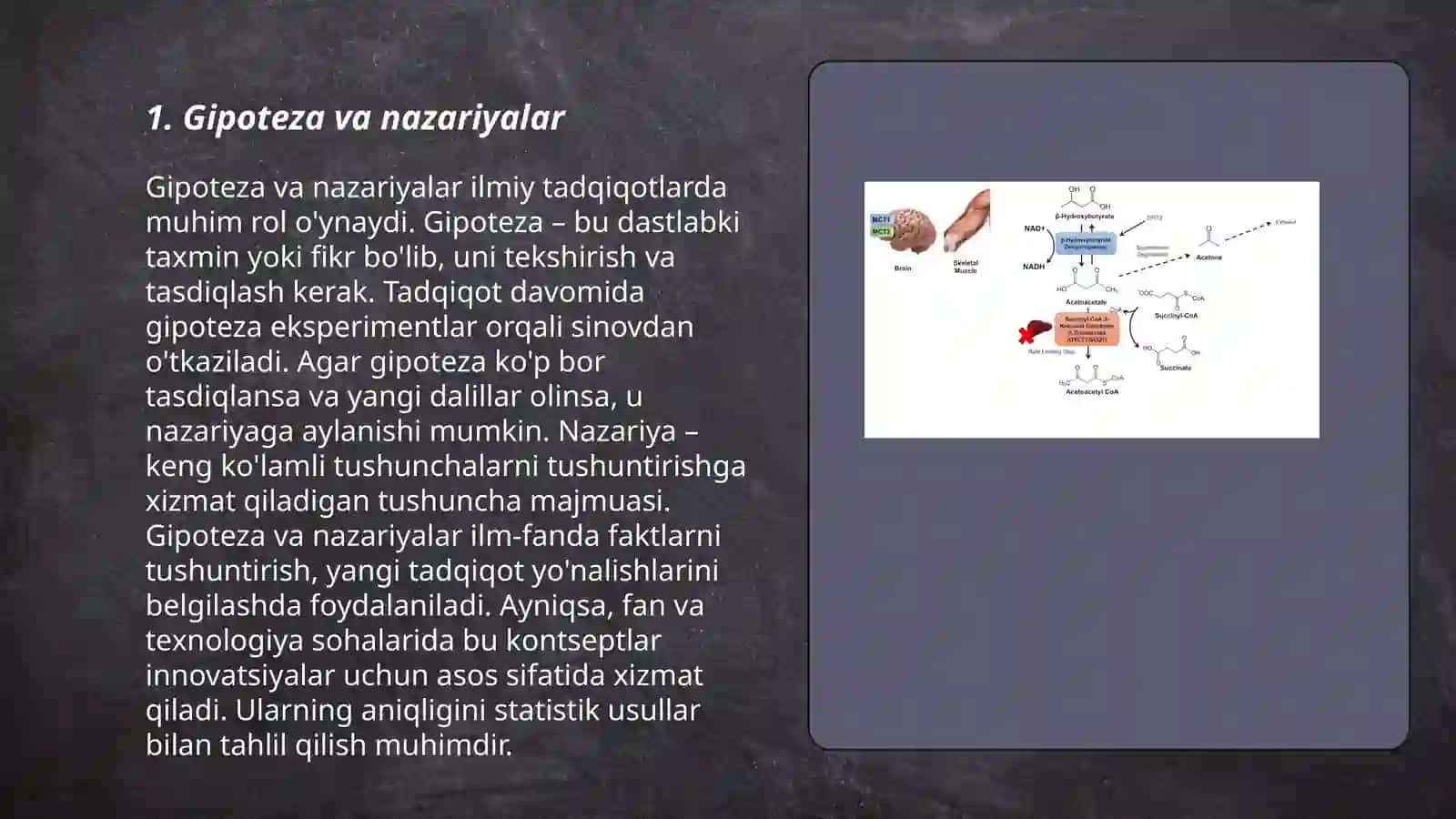 Metabolizm jarayonida energiya hosil boʻlishi va sarflanishi 3
