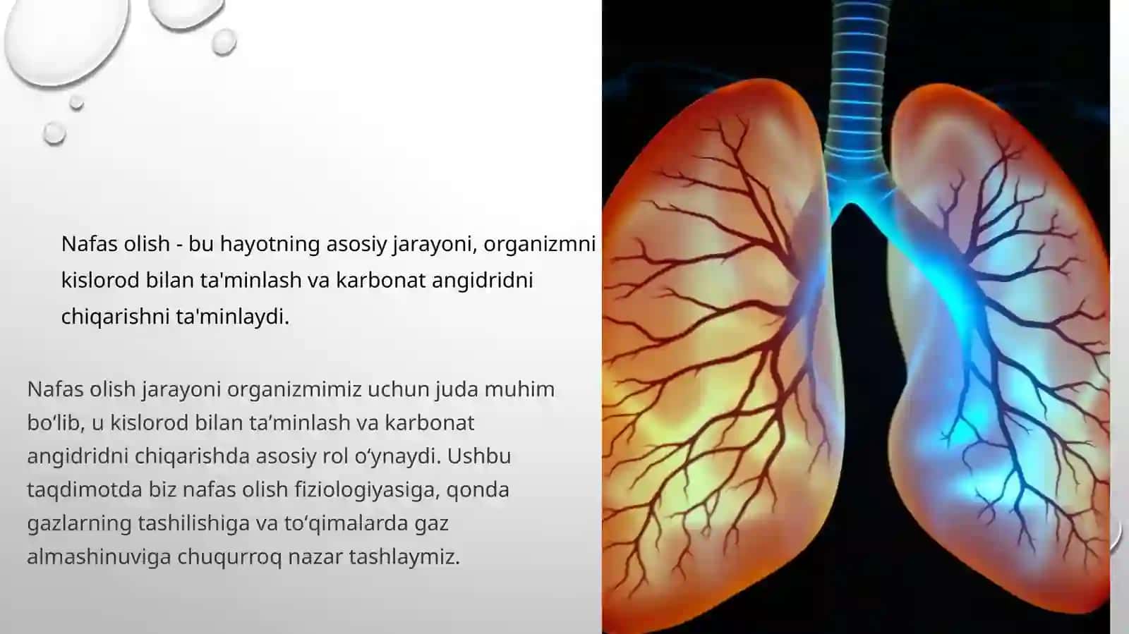 Toshkent Tibbiyot Akademiyasi 1-son davolash fakulteti 216-aguruh TALABASI 3