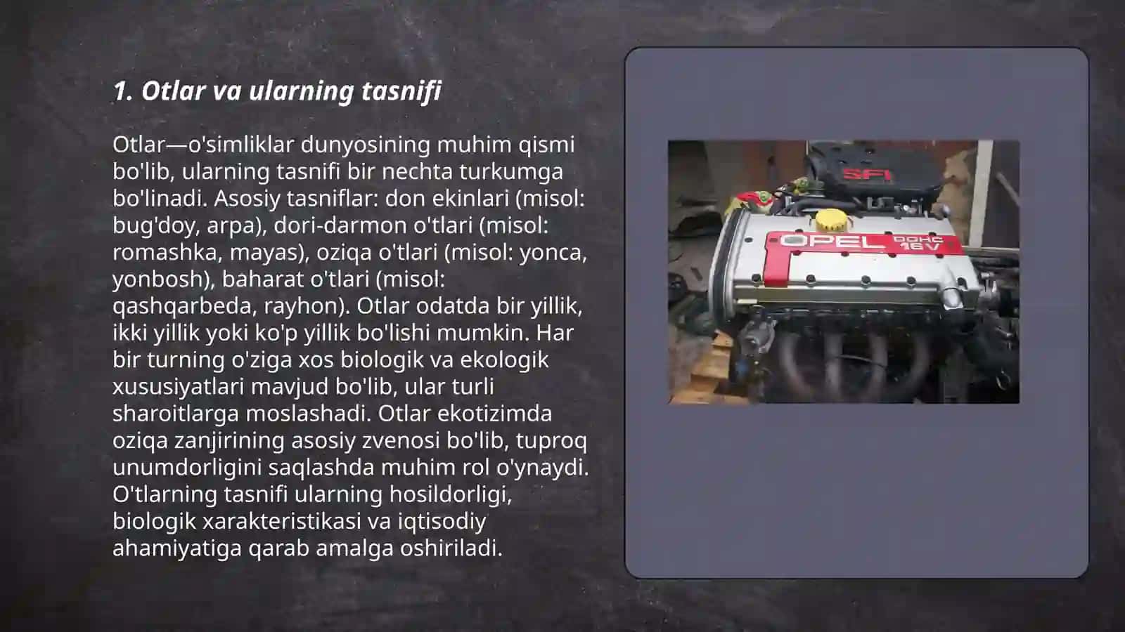 Grammatika. Morfologiya. So'z turkumlari, ularning tasnifi 3