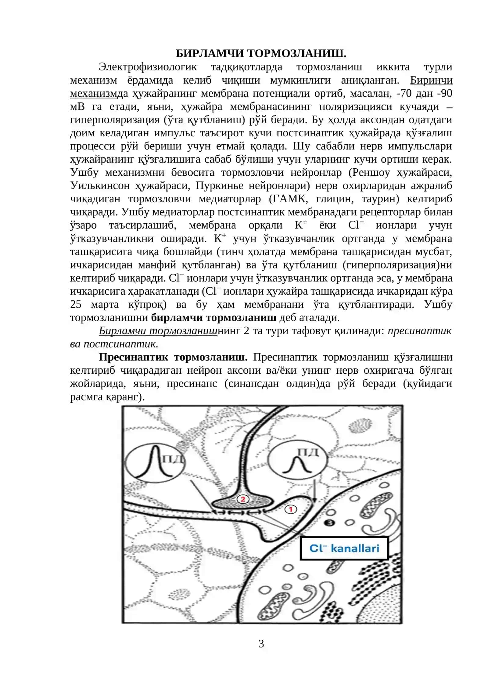 МНТДАГИ ТОРМОЗЛАНИШ ЖАРАЁНЛАРИГА БАҒИШЛАНГАН МАТЕРИАЛ 3