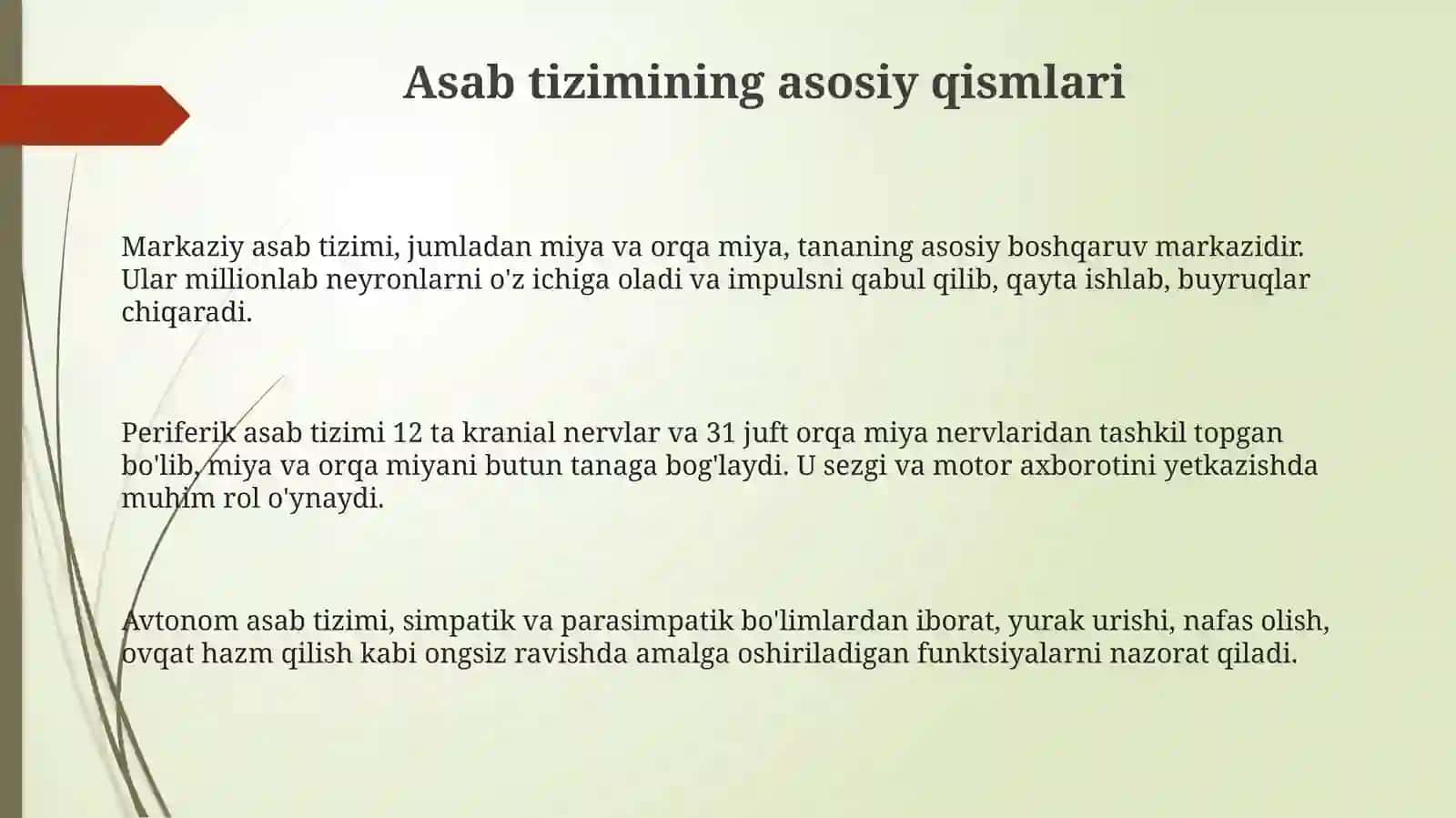 Nerv sistemasi 3