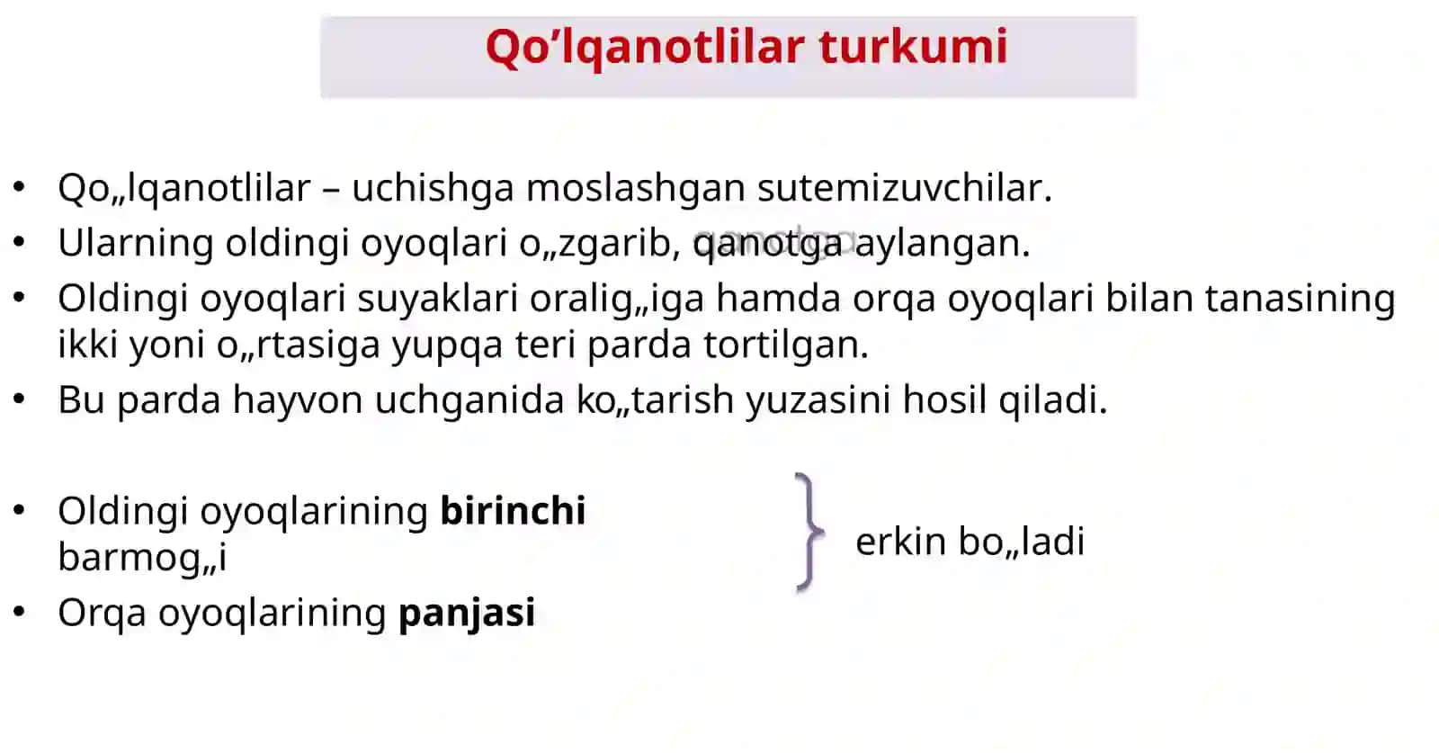 SUTEMIZUVCHILAR SINFI Zoologiya 12-dars 3
