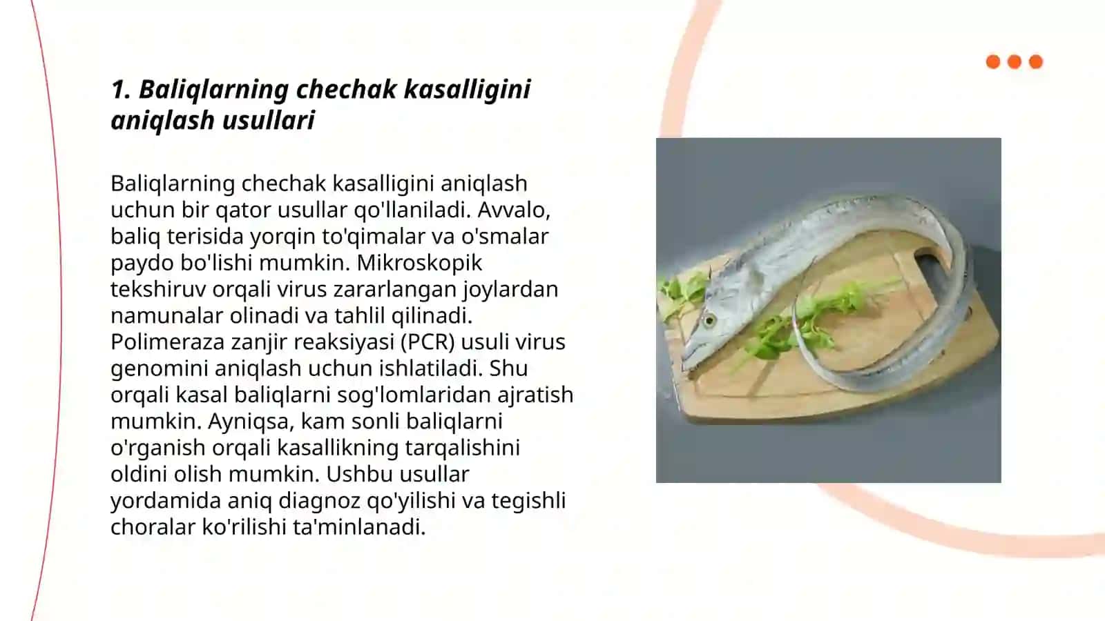 Baliqlarning chechak kasalligi diagnostikasi 3
