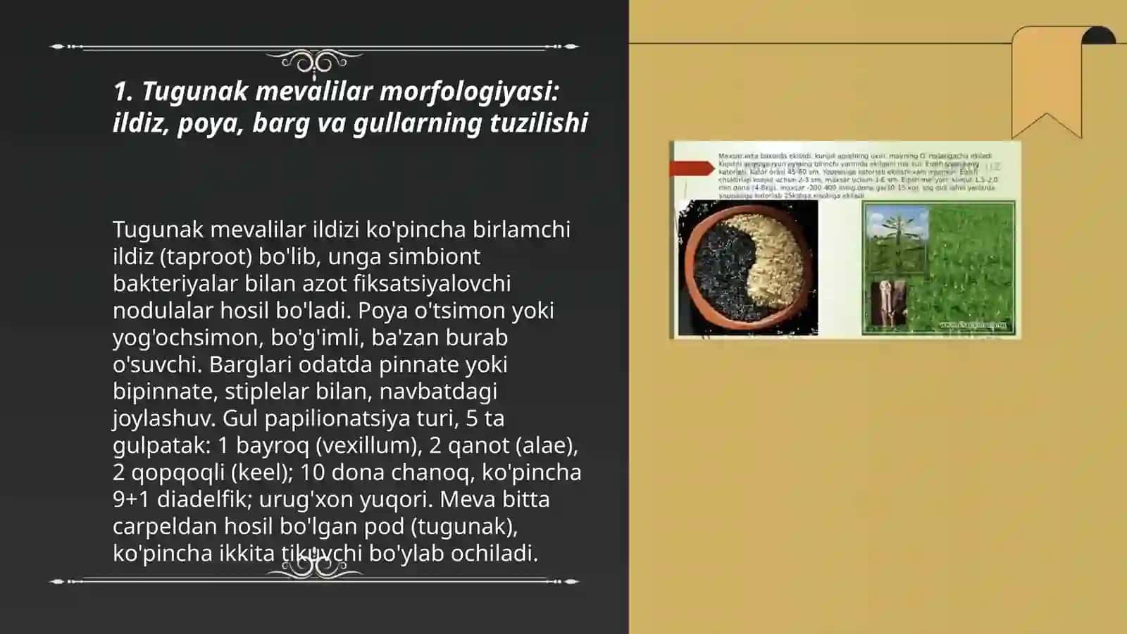Tugunak mevalilar morfologiyasi, biologiyasi va yetishtirish texnologiyasi 3