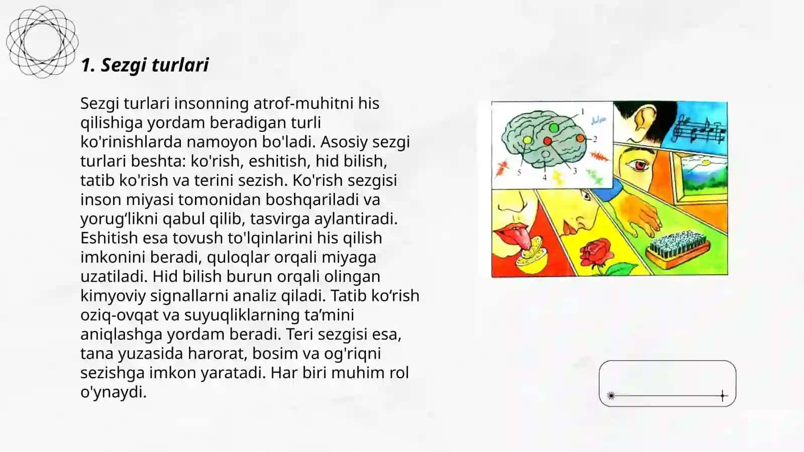 Sezgi turlari va uning qonuniyatlari 3