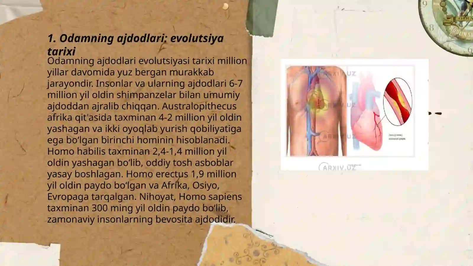 Odamning ajdodlari va ularning tana tuzilishidagi oʻziga xos xususiyatlari 3
