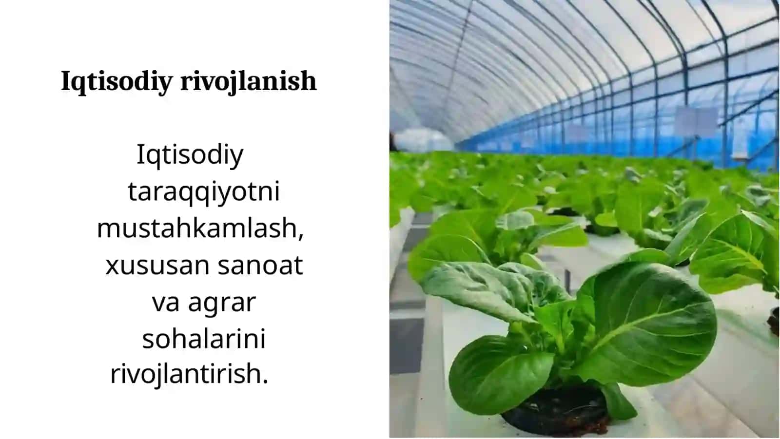 2022-2026 yillarga mo'ljallangan yangi o'zbekistonning taraqqiyot strategiyasi to'g'risida 3