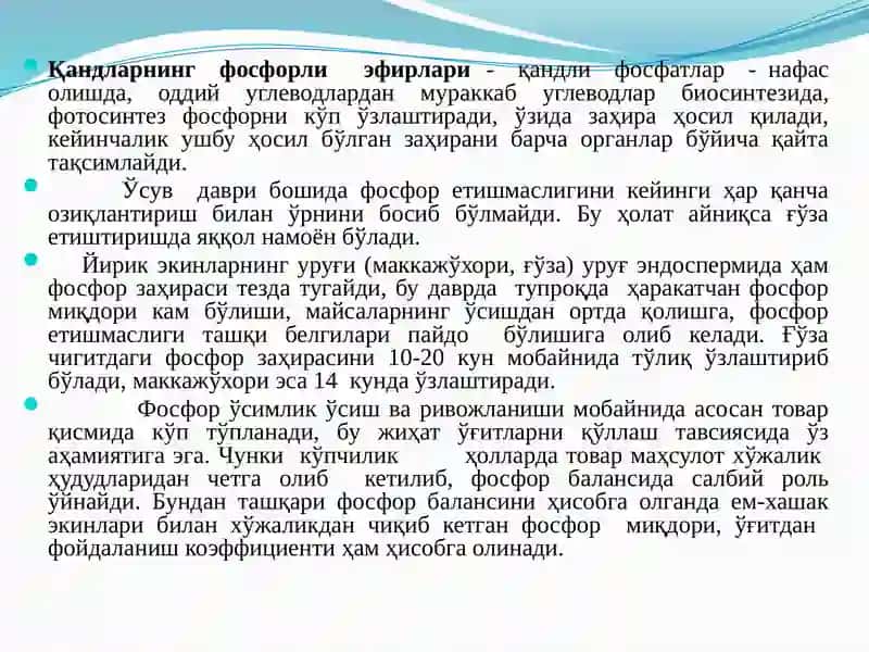 Ўсимликларнинг фосфор билан озиқланиши, фосфорли ўғитлар ва уларни самарадорлиги 3