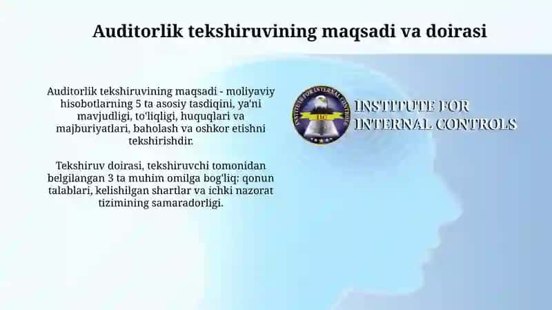 Auditorlik tekshiruvlari vaqtida bugalteriya xisobi va ichki nazorat tizimlarini baxolash 3