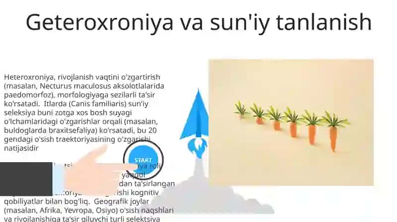 Geteroxroniya va Sun'iy tanlanish 3