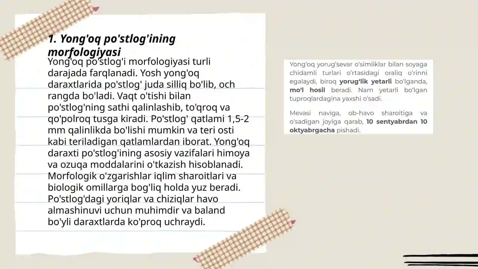 Yong'oq morfologiyasi rivojlanishi 3