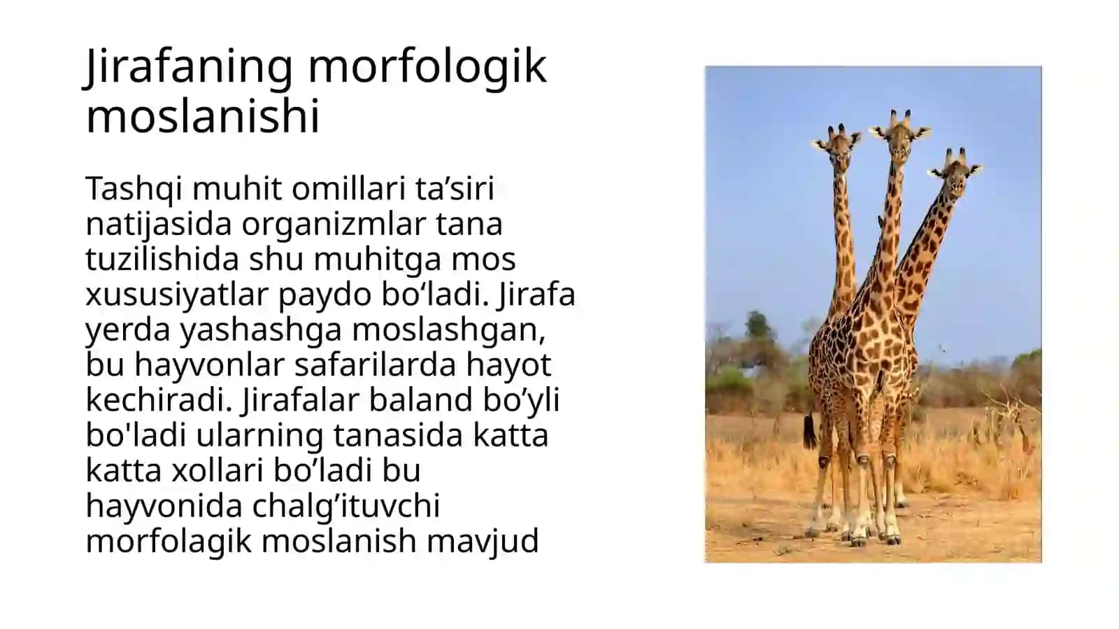 Organizmlarning moslanishi 3