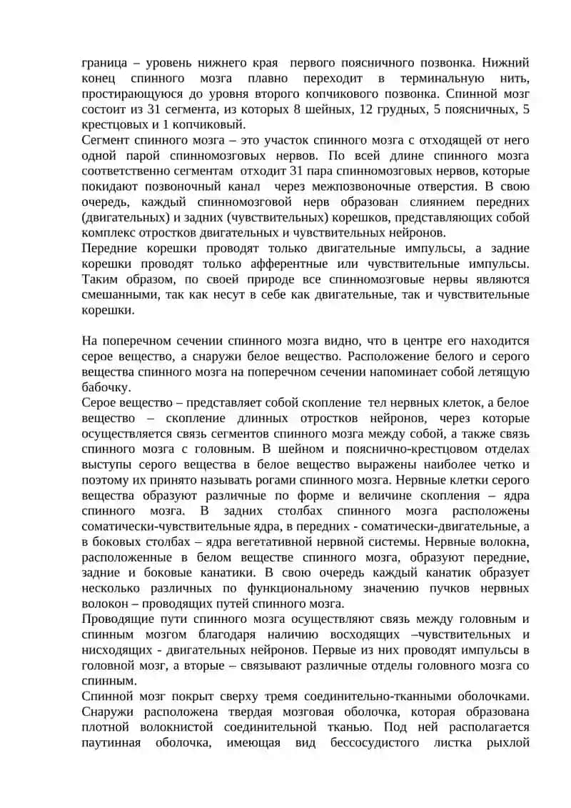 "Головной мозг. Строение отделов головного мозга" 3