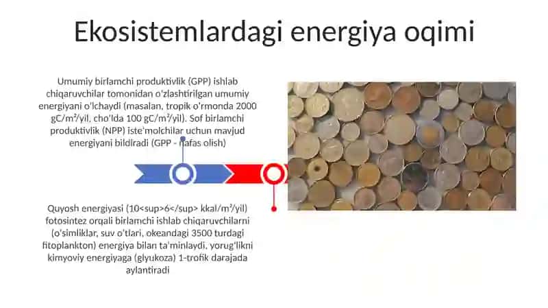 Yerning organik dunyosi tizimi 3