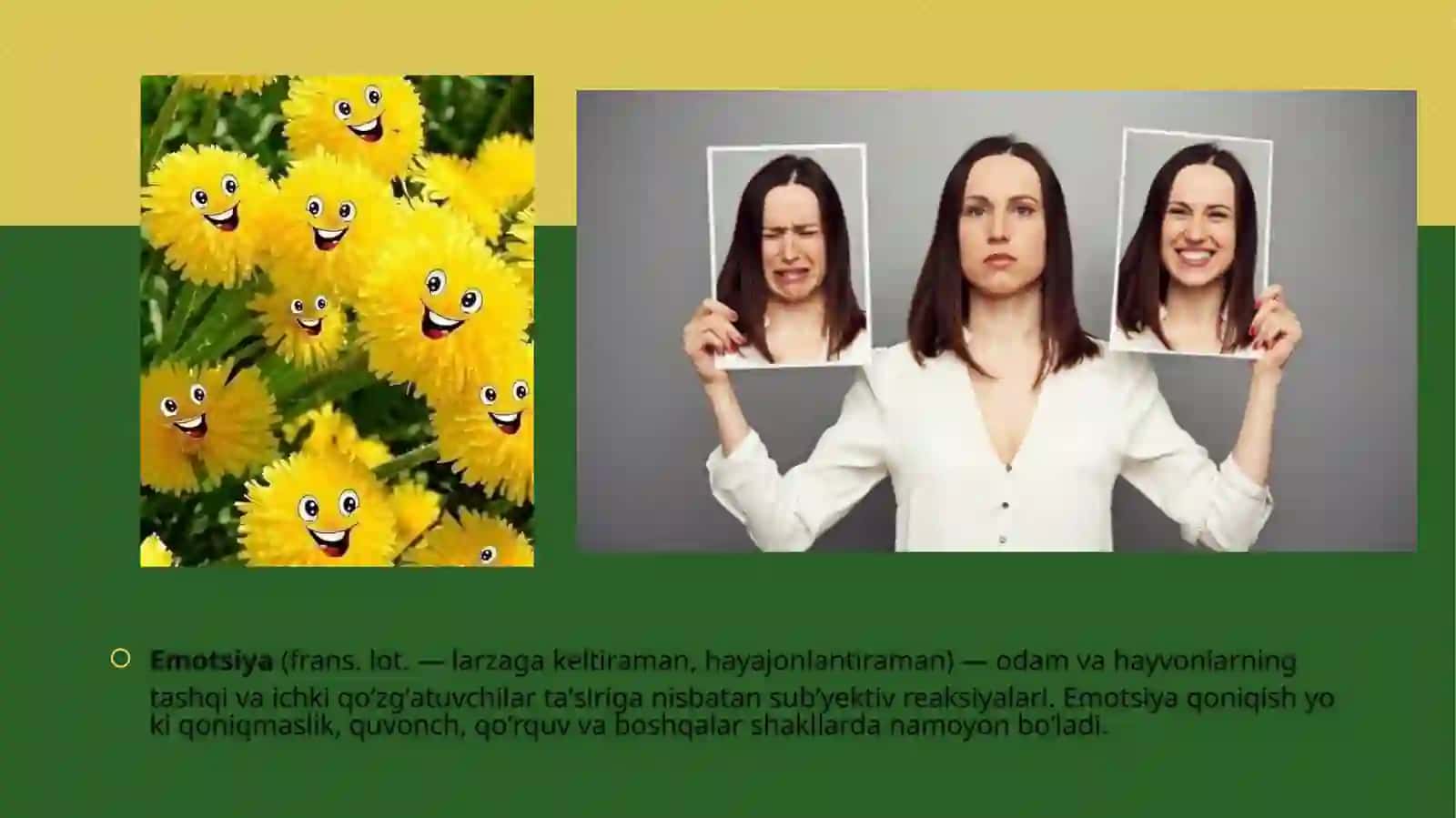 Shaxsning emotsional jahxasini va uni o'rganish metodlari 3