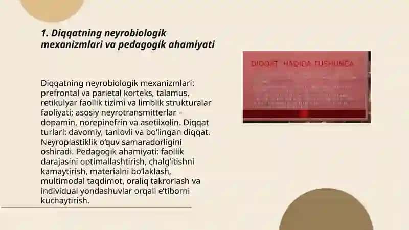 Diqqat, xotira va tafakkurning neyropedagogik asoslari 3