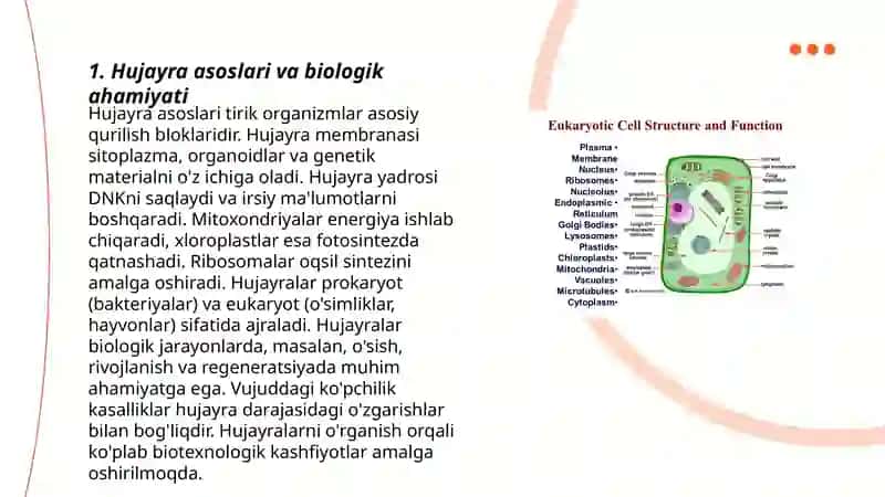 Hujayra asoslari, tuzilishi, vazifasi va turlari 3
