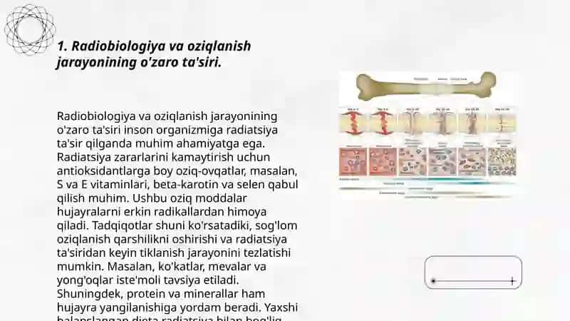 Radiobiologiya va oziqlanish jarayonining o'zaro ta'siri 3