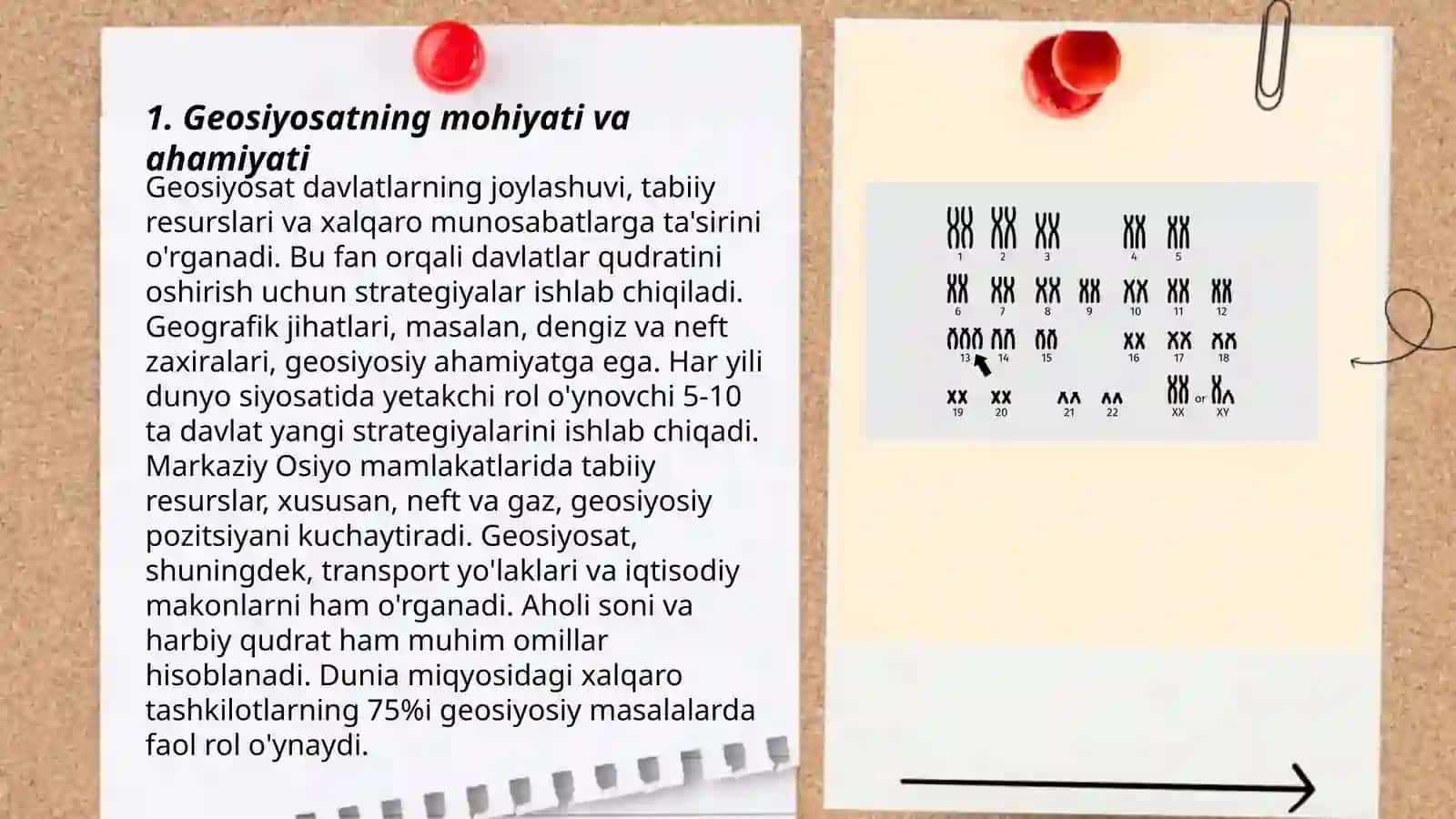 Geosiyosat va Geomafkura: o’zaro bog’liqligi va tuzulishi 3