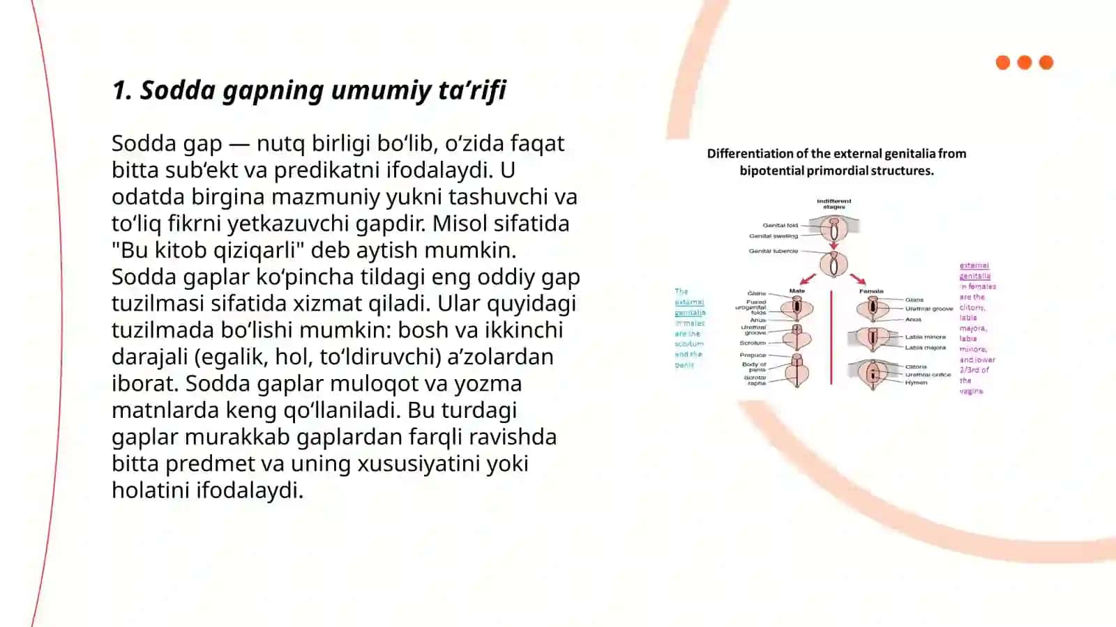 Sodda gapning taʼrifi va tasnifi 3
