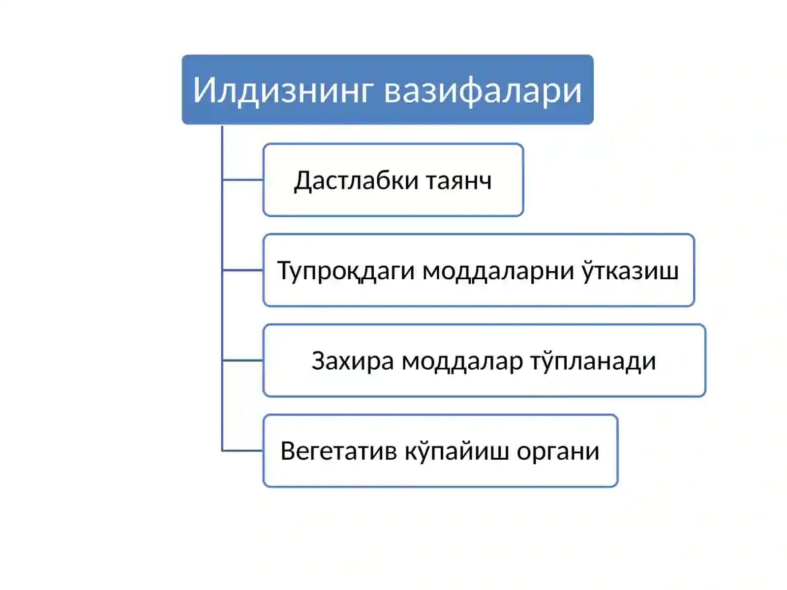 Ilmiy-ta'limiy kurs 3