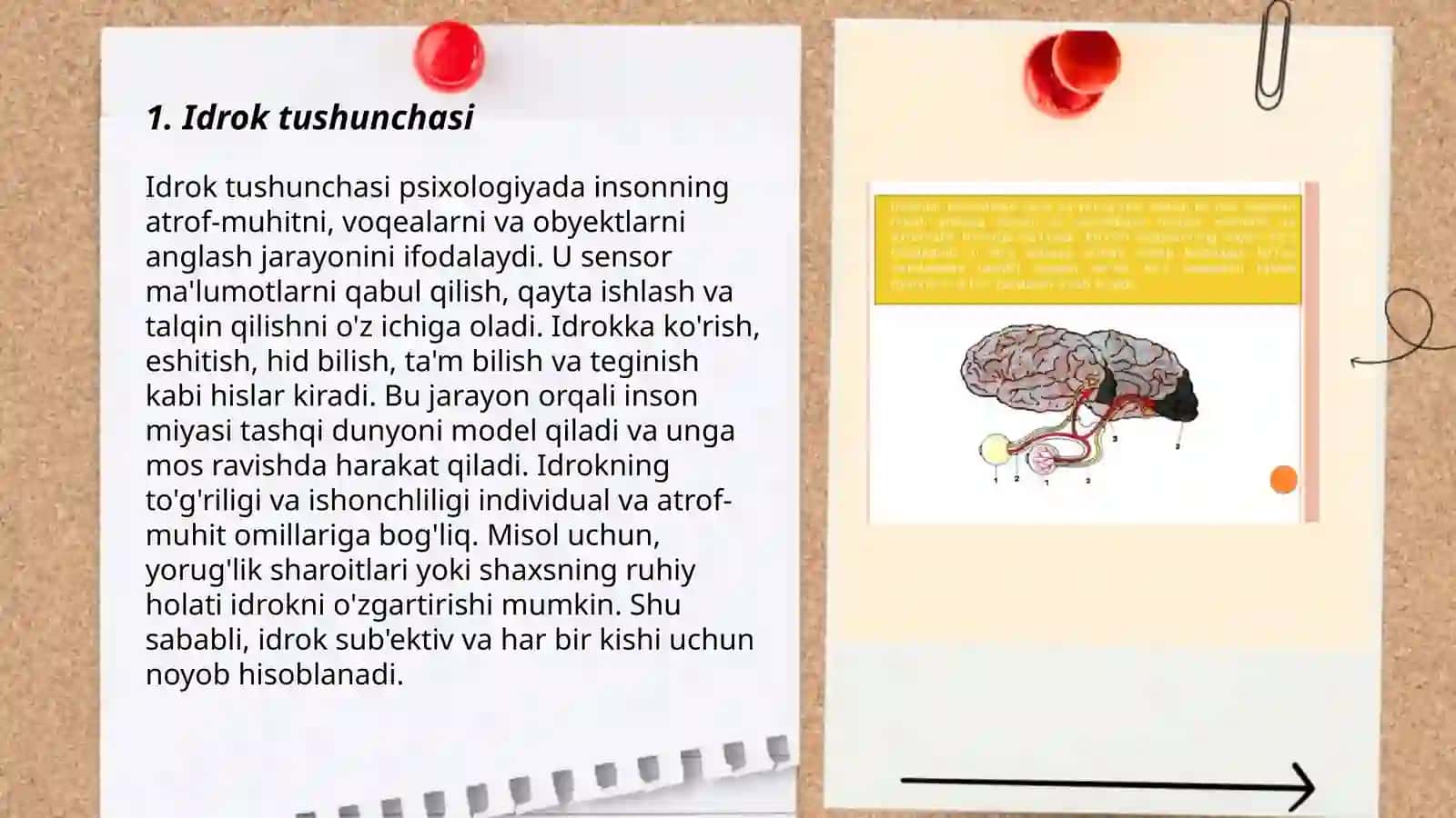 Idrok haqida tushuncha va uning xususiyatlari 3